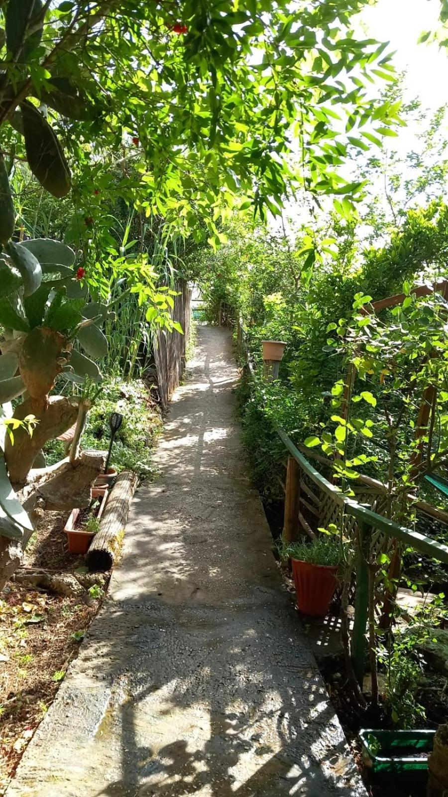 View Of The Valley Guest House Jerusalem Ngoại thất bức ảnh